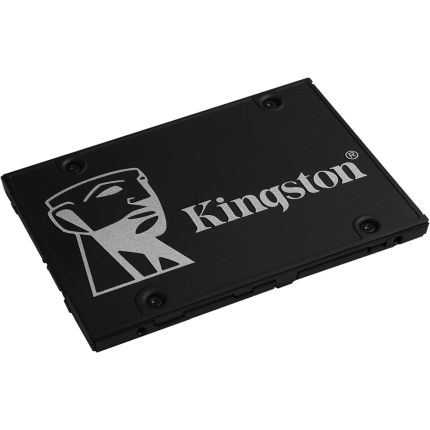 KINGSTON 256GB 2.5