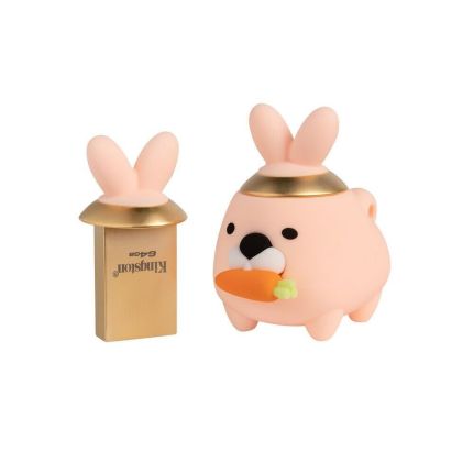 KINGSTON 64GB DTCNY23/64GB - RABBIT