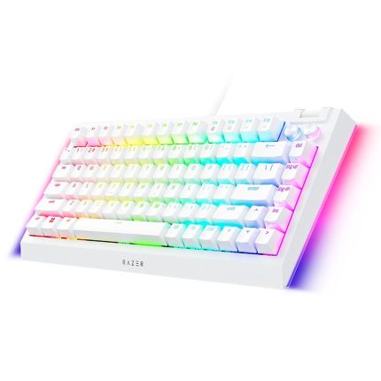 RAZER BLACKWIDOW V4 75% - HOT SWAPPABLE MECHANICAL GAMING KEYBOARD - WHITE EDITION (RZ03-05001700-R3M1)