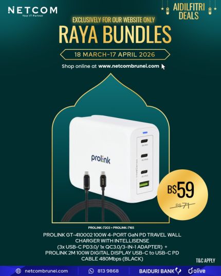 PROLINK TRAVEL WALL WITH CABLE