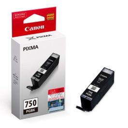 2-Pack Black Compatible Ink Cartridges For Canon PGI-250PGBK (Fits MX920, IP7220, Etc.)
